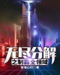 无尽解析 无尽解析