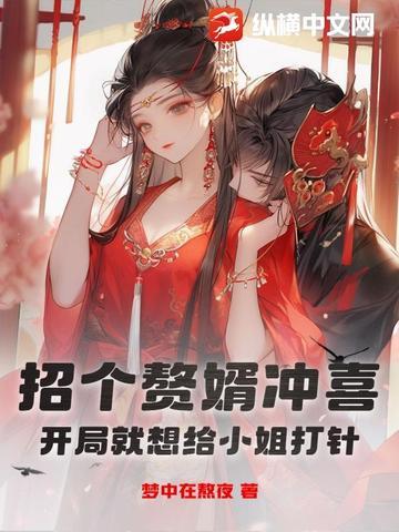 招个女婿来上门 招个女婿来上门
