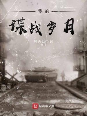 我的谍战岁月 百度 我的谍战岁月 百度