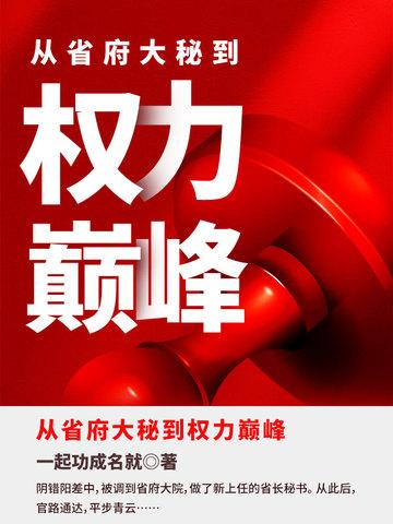从省府大秘到权力巅峰一起功成名就 从省府大秘到权力巅峰一起功成名就