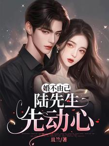 婚不由衷陆先生求放过 婚不由衷陆先生求放过