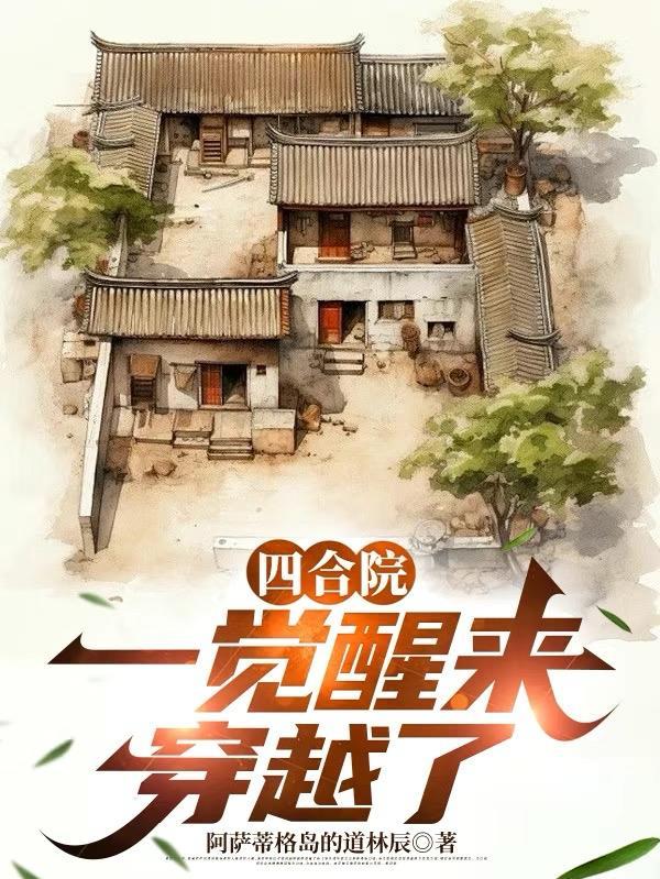 四合院一觉醒来 四合院一觉醒来