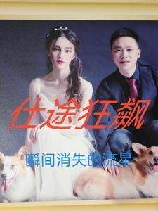 仕途飙升 仕途飙升