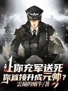 高武兵王 高武兵王
