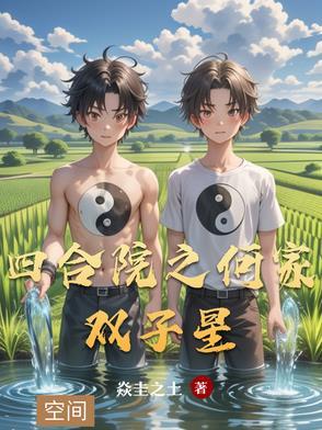 四合院之何雨晨 四合院之何雨晨