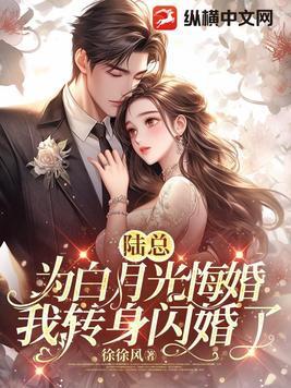 陆总追妻路漫漫免费阅读 陆总追妻路漫漫免费阅读