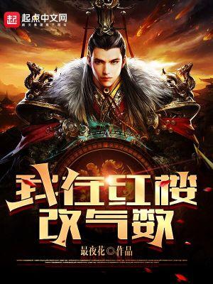 我在红楼改气数 罪夜花