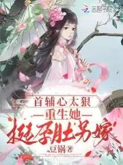 首辅的重生妻 首辅的重生妻