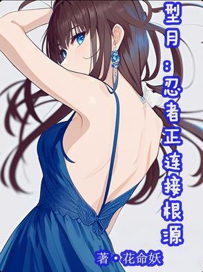 型月属性设定 型月属性设定