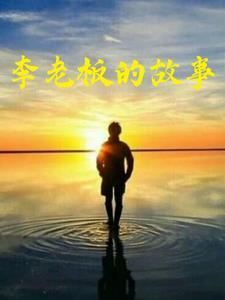 李老板的故事 李老板的故事