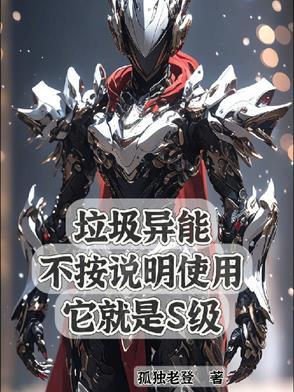 盗圣系统 盗圣系统